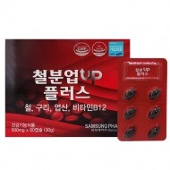 철분UP플러스 (500mg*60캡슐)