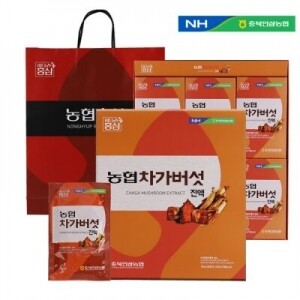 차가버섯진액 (70ml*30포)